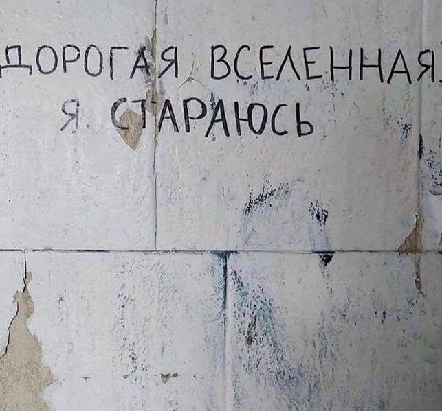 Файл:Test файл.jpg